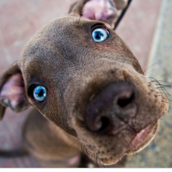 Customized box you build yourself with any itmes you want - Picture 3 of 8